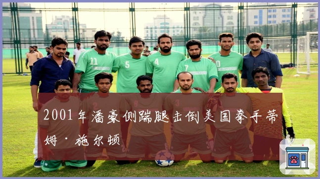 2001年潘豪侧踹腿击倒美国拳手蒂姆·施尔顿