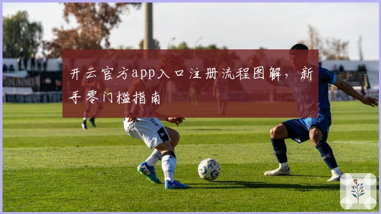 开云官方app入口注册流程图解，新手零门槛指南