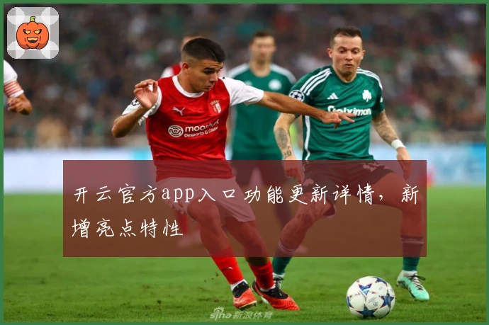 开云官方app入口功能更新详情,新增亮点特性