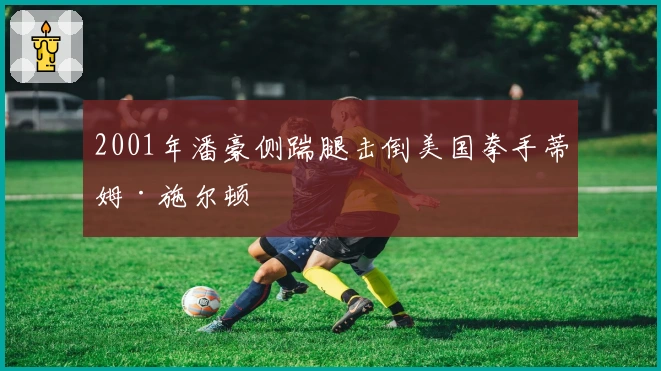 2001年潘豪侧踹腿击倒美国拳手蒂姆·施尔顿