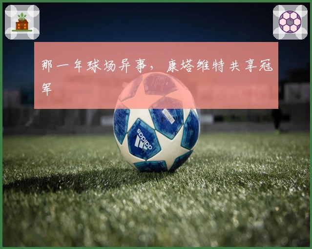 那一年球场异事，康塔维特共享冠军
